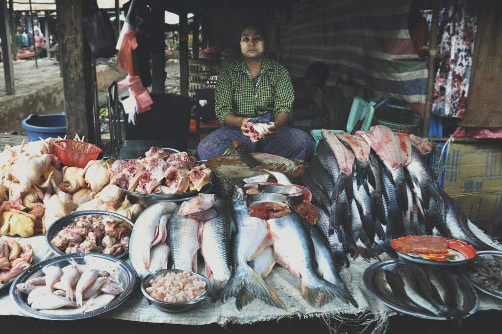 oysters wholesalers